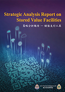 Strategic Analysis Report on Stroed Value Facilities